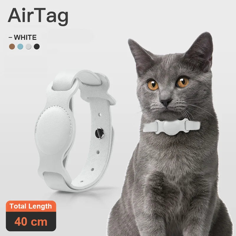 Leather Collar