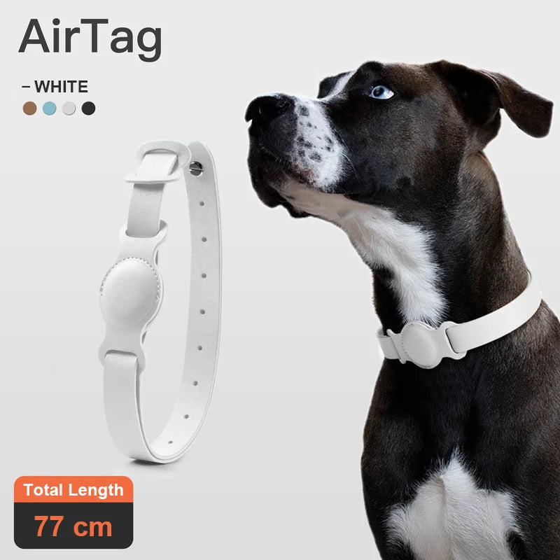 Leather Collar