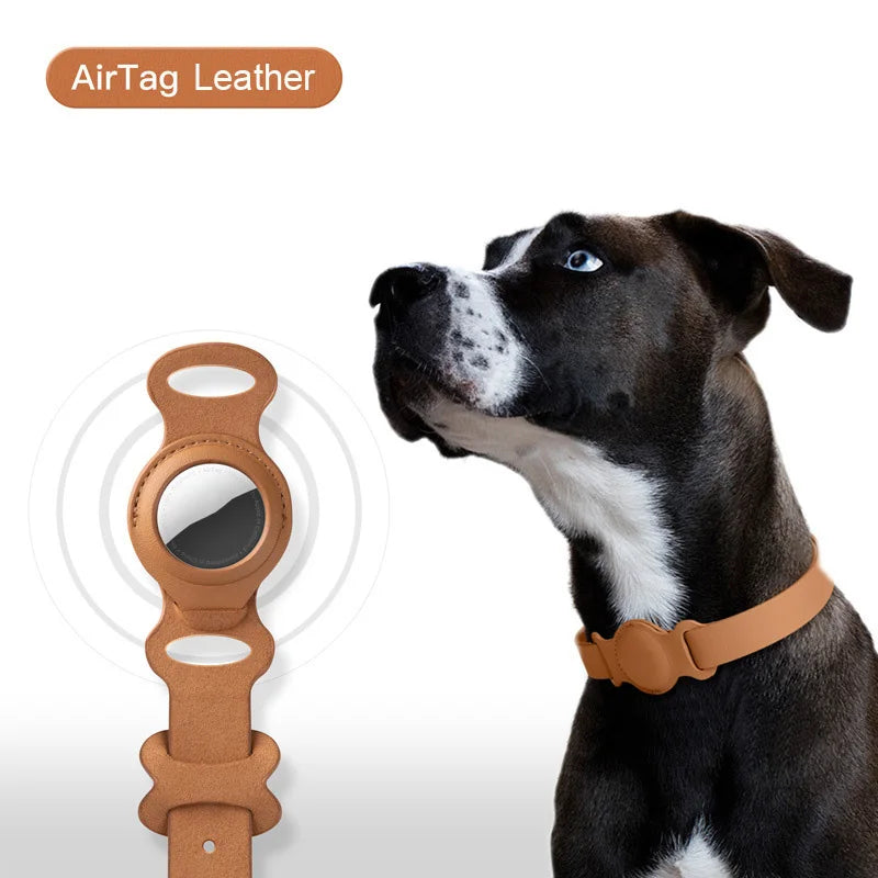 Leather Collar